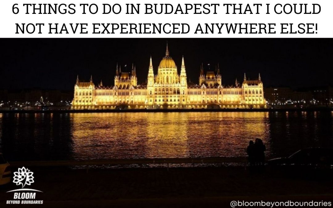 Article: 6 Things To Do in Budapest That I Could Not Have Experienced Anywhere Else!
